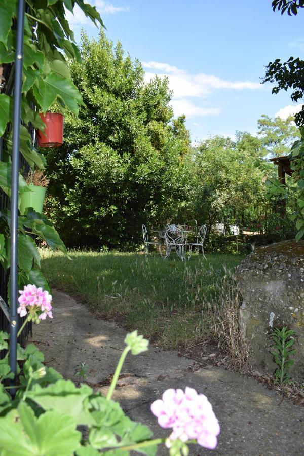 Chambres d'hôtes- Le Pré aux Ânes Albon Exterior foto